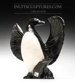 Oiseau de Guillemot 13" par Kellypalik Etidlooie