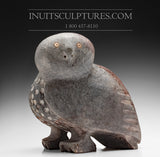 14" - 50 Lbs Grand hibou aux tons violets par Kupapik Ningeocheak