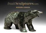 Ours qui marche 16" par Matt Flaherty *Chatter*