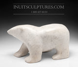 Nuna Parr, ourson ambulant rare de 15 pouces