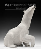 17" Sitting Bear by World Famous Paul Malliki