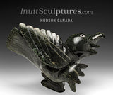 Oiseau dansant SIGNATURE 14" par Toonoo Sharky *Glee*