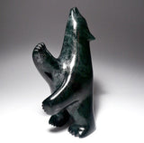 Ours debout de 4,75 pouces par Alashua Sharky
