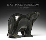 Ours ambulant noir frappant de 16 po par Ashevak Adla