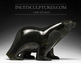 Ours ambulant noir frappant de 16 po par Ashevak Adla