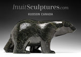 Ours qui marche SIGNATURE 18" par Ashevak Adla *Midnight Walk* CHOIX DU CONSERVATEUR