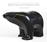 Ours marchant de 16 po par le maître sculpteur Ashevak Adla *Grande personnalité*