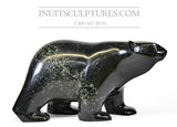 Ours marchant de 16 po par le maître sculpteur Ashevak Adla *Grande personnalité*