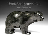 Ours qui marche SIGNATURE 18" par Ashevak Adla *Midnight Walk* CHOIX DU CONSERVATEUR