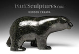 Ours qui marche SIGNATURE 18" par Ashevak Adla *Midnight Walk* CHOIX DU CONSERVATEUR