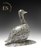 8" Ptarmigan Bird by Mark Pitseolak *Gordon*