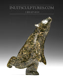 Ours dansant 5" Alashua Sharky