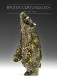 Ours dansant 5" Alashua Sharky