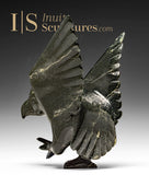 7" SIGNATURE Dancing Hawk par Killiktee Killiktee *Aurora*