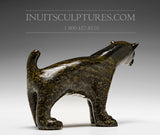 Chien 7" par Kellyapik Etidloie