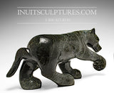 Loup rôdeur 14" par Kellypalik Etidloie