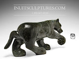 Loup rôdeur 14" par Kellypalik Etidloie
