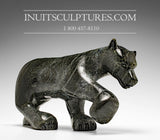 Loup rôdeur 14" par Kellypalik Etidloie