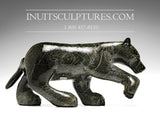 Loup rôdeur 14" par Kellypalik Etidloie