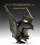 7" SIGNATURE Dancing Hawk par Killiktee Killiktee *Aurora*