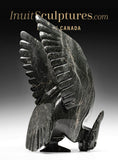 Faucon SIGNATURE 16" par Killiktee Killiktee *Raptor*