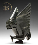 7" SIGNATURE Dancing Hawk par Killiktee Killiktee *Aurora*