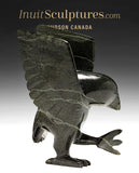 9" SIGNATURE Dancing Hawk par Killiktee Killiktee *Sa Majesté*