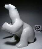 White Sitting Bear by Lew Phillip