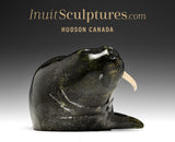 Morse 13" par Louie Uttaq Gjoa Haven *Toofy*