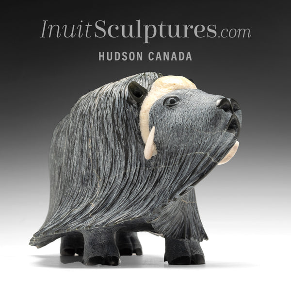 Muskox by Lucassie Ikkidluaq from Iqaluit Inuit Sculptures Art Inuit