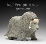 14" SIGNATURE Muskox by Lucassie Ikkidluaq  *Glint*