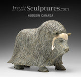 14" SIGNATURE Muskox by Lucassie Ikkidluaq  *Glint*