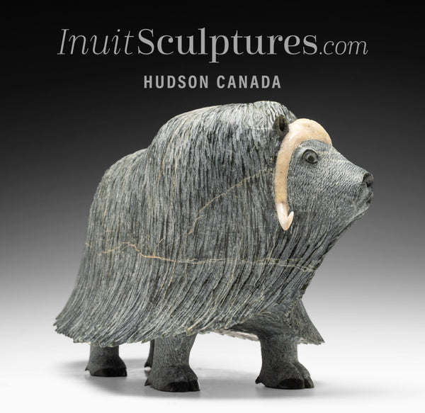 Muskox by Lucassie Ikkidluaq from Iqaluit Inuit Sculptures Art Inuit