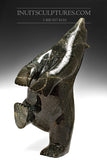 26" - 80 lbs Dark Masterpiece Nuna Parr Magnifique ours dansant