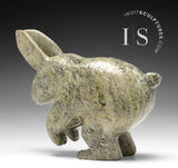 Lièvre arctique 10" par Parr Parr *Jumper*