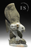 17" SIGNATURE Eagle & Fish par Pits Qimirpik *Spring Training* CHOIX DU CONSERVATEUR