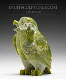 Hibou SIGNATURE 6" par Pitseolak Qimirpik *Raptor Life*