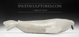 Morse 14" avec défenses noires par Emataluk Saggiak *Toothy*
