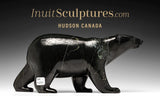 Ours ambulant SIGNATURE 13" par Tim Pee *La Longue Marche*