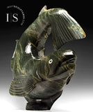 Omble chevalier volant 25" par Toonoo Sharky RCA *Capitaine*