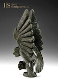 13" SIGNATURE Bird Spirit par Toonoo Sharky *Crash Landing*