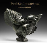 Oiseau dansant SIGNATURE 14" par Toonoo Sharky *Glee*