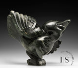 Oiseau dansant SIGNATURE 14" par Toonoo Sharky *Glee*
