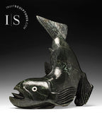 Poisson d'omble chevalier volant bidirectionnel de 17 po par Toonoo Sharky *Poisson hors de l'eau*