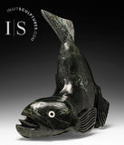 Poisson d'omble chevalier volant bidirectionnel de 17 po par Toonoo Sharky *Poisson hors de l'eau*