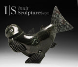 Poisson d'omble chevalier volant bidirectionnel de 17 po par Toonoo Sharky *Poisson hors de l'eau*