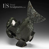 Poisson d'omble chevalier volant bidirectionnel de 17 po par Toonoo Sharky *Poisson hors de l'eau*