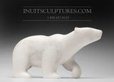 16" L'ours polaire parfait par Tuk Nuna