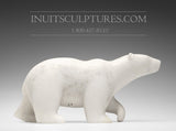 16" THE Perfect Polar Bear by Tuk Nuna