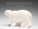 16" THE Perfect Polar Bear by Tuk Nuna
